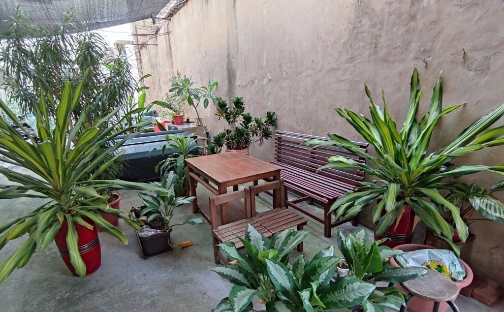 兩隻伴 2and½Dogs Bakery 綠植圍繞的後院庭園座位